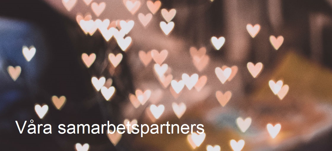 Våra sammarbetspartners bild